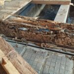 実例紹介。戸建ての床がブカブカ・へこむ原因はシロアリの可能性あり