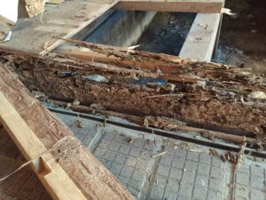 実例紹介。戸建ての床がブカブカ・へこむ原因はシロアリの可能性あり