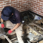 シロアリ被害を防ぐ為には5年に一度は点検な理由を事例をご紹介