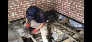 シロアリ被害を防ぐ為には5年に一度は点検な理由を事例をご紹介