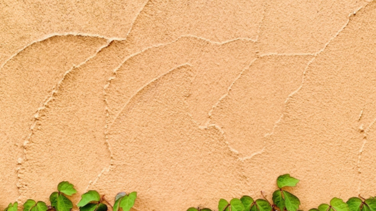 ジョリーパット外壁